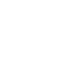 Weave Logo White 250